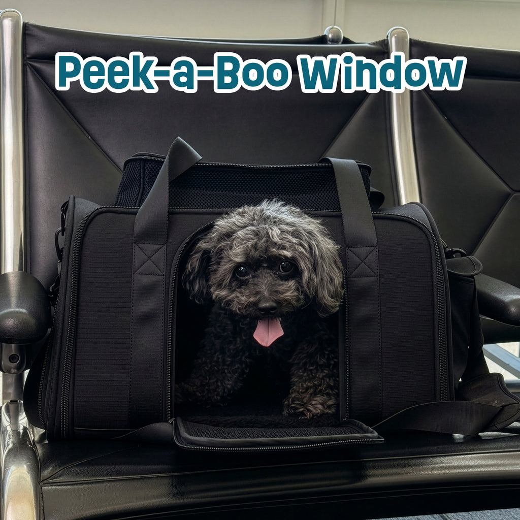 Airline-Compliant Expandable Pet Carrier - BLACK