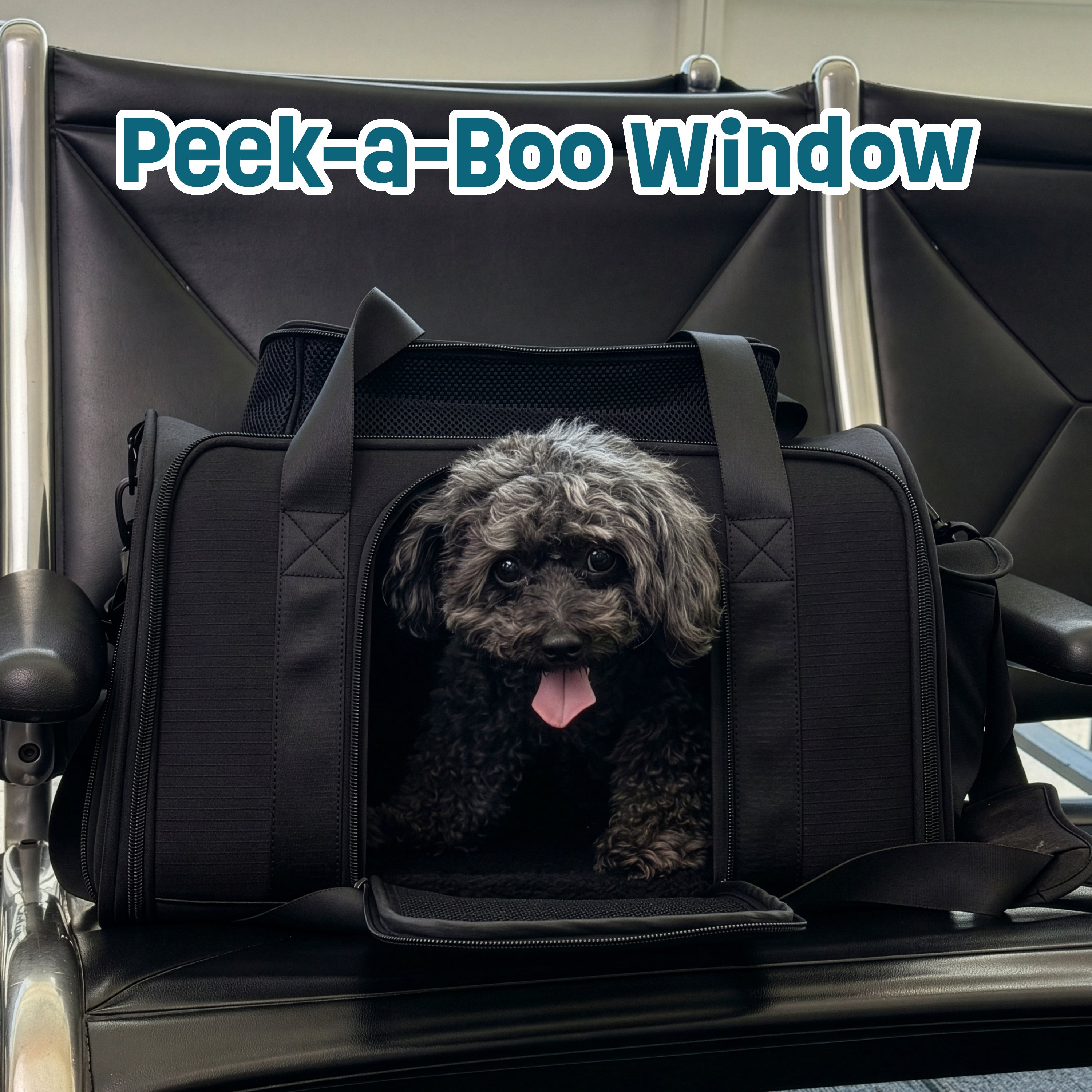 Airline-Compliant Expandable Pet Carrier - BLACK