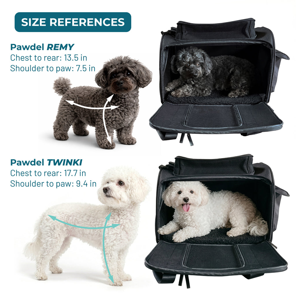 Airline-Compliant Expandable Pet Carrier - MOSS GREEN