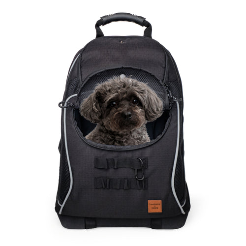 Adventure-Ready Pet Backpack Carrier - BLACK