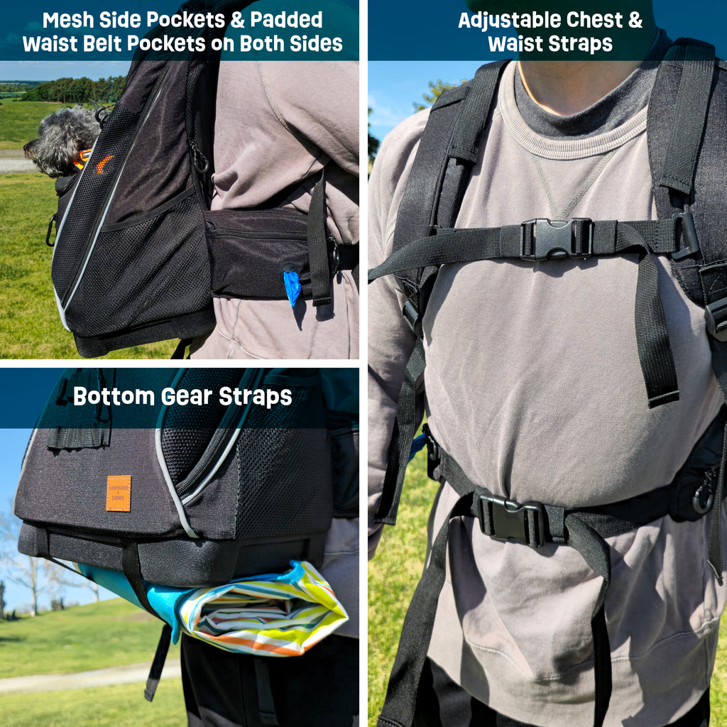 Adventure-Ready Pet Backpack Carrier - BLACK