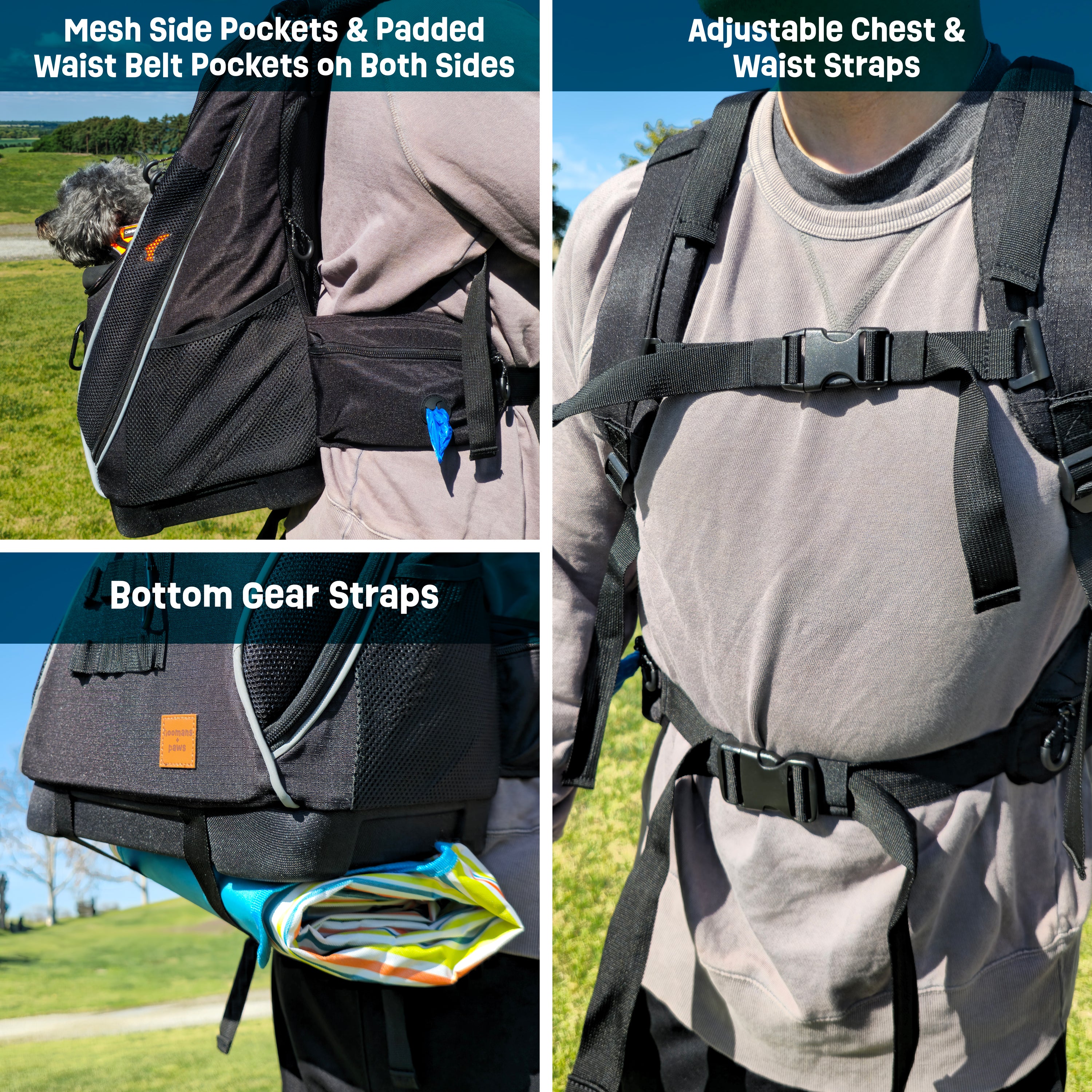 Adventure-Ready Pet Backpack Carrier - BLACK