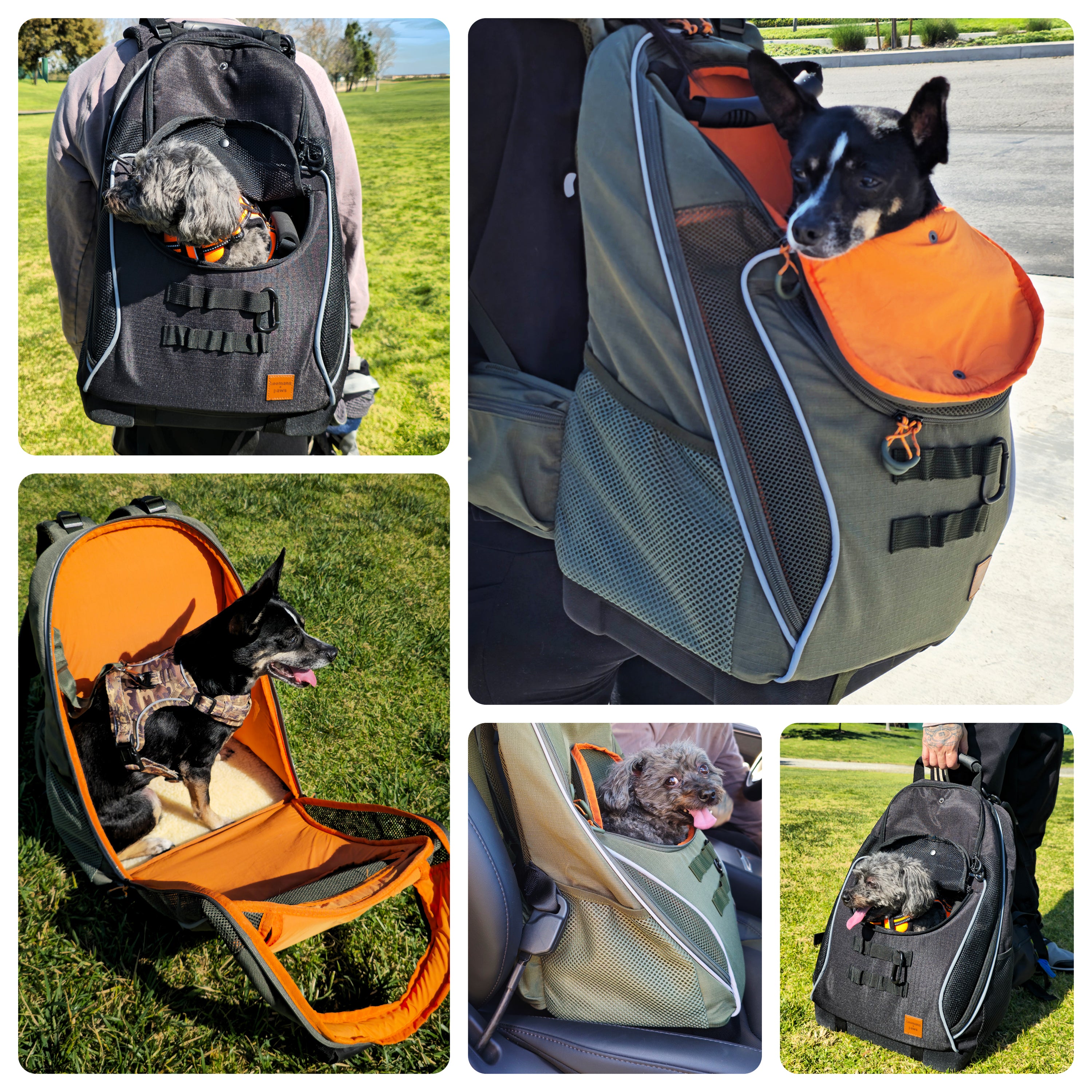 Adventure-Ready Pet Backpack Carrier - MOSS GREEN