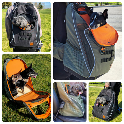Adventure-Ready Pet Backpack Carrier - BLACK