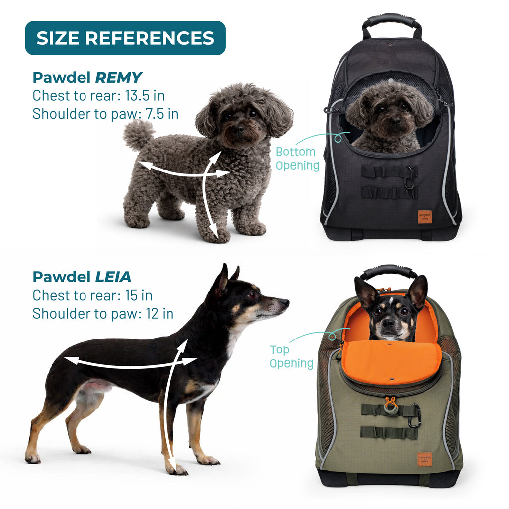 Adventure-Ready Pet Backpack Carrier - BLACK