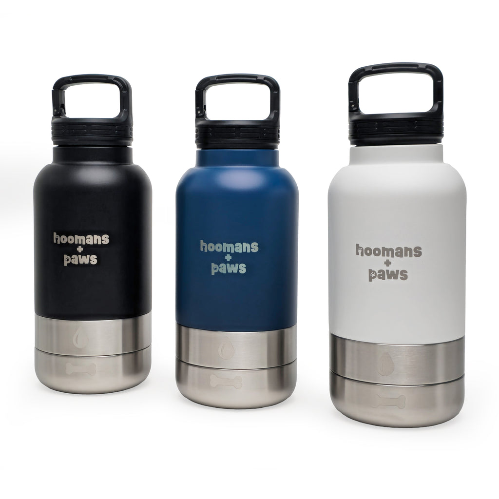 3-in-1 Travel Water Bottle - BLUE